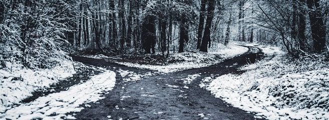 Forked road in snow in forest by Oliver Roos